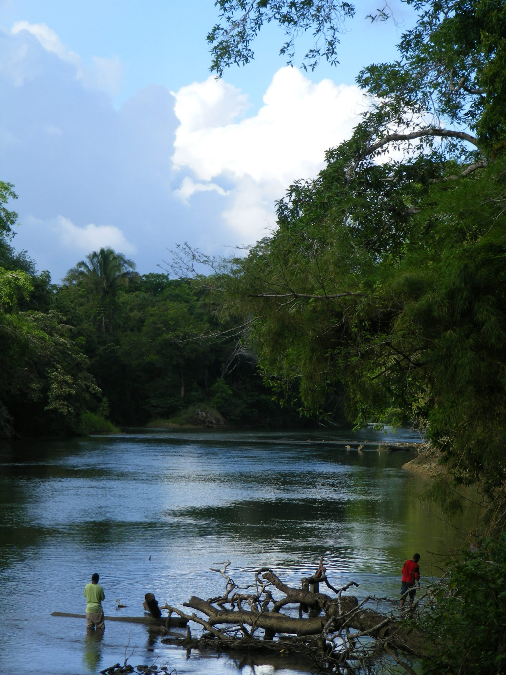 River Swimming | Lower Dover